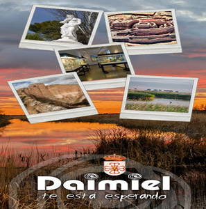 AYTO DAIMIEL Turismo 25