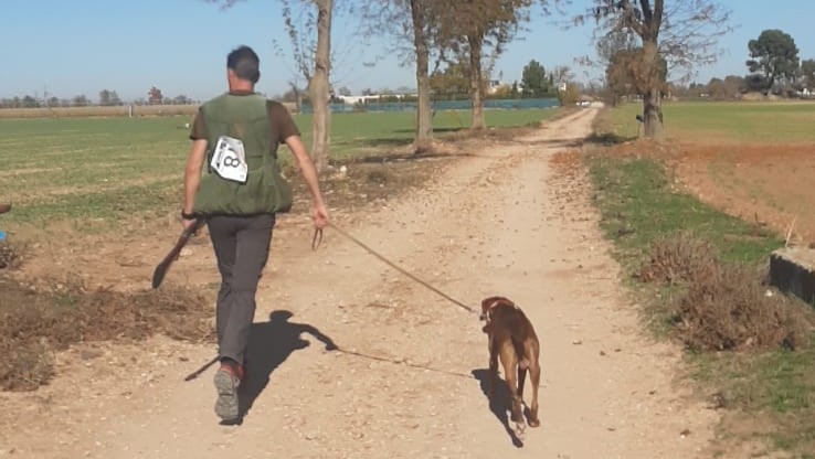 caza perro