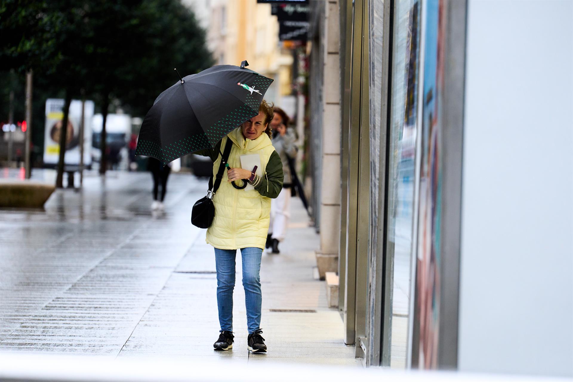 Meteocam