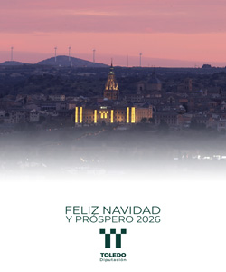 DIPUTACIÓN DE TOLEDO Noviembre 25