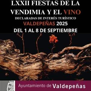 AYTO. VALDEPEÑAS Feria del vino 25
