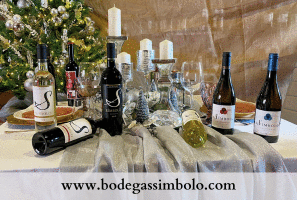 BODEGAS SÍMBOLO Navidad25