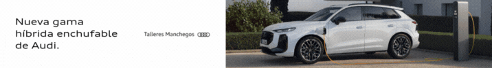 Talleres Manchegos Audi Agosto 25