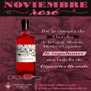 Vinícola del Carmen Nov25