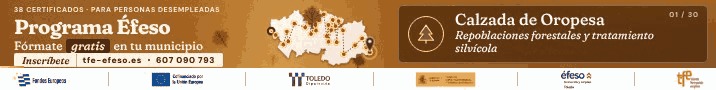 EFESO FORMACIÓN nov26